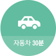 자동차로 30분